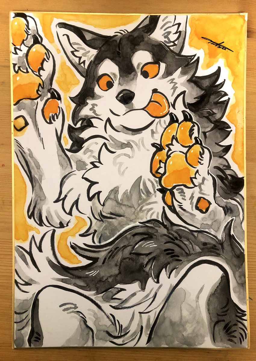 AxonTatsu's tweet image. Orange Paws🍊