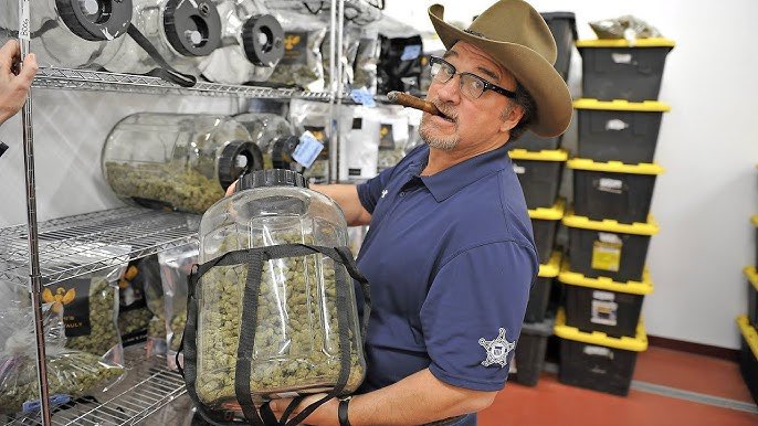 Hello 👋, greetings from the farm🔥