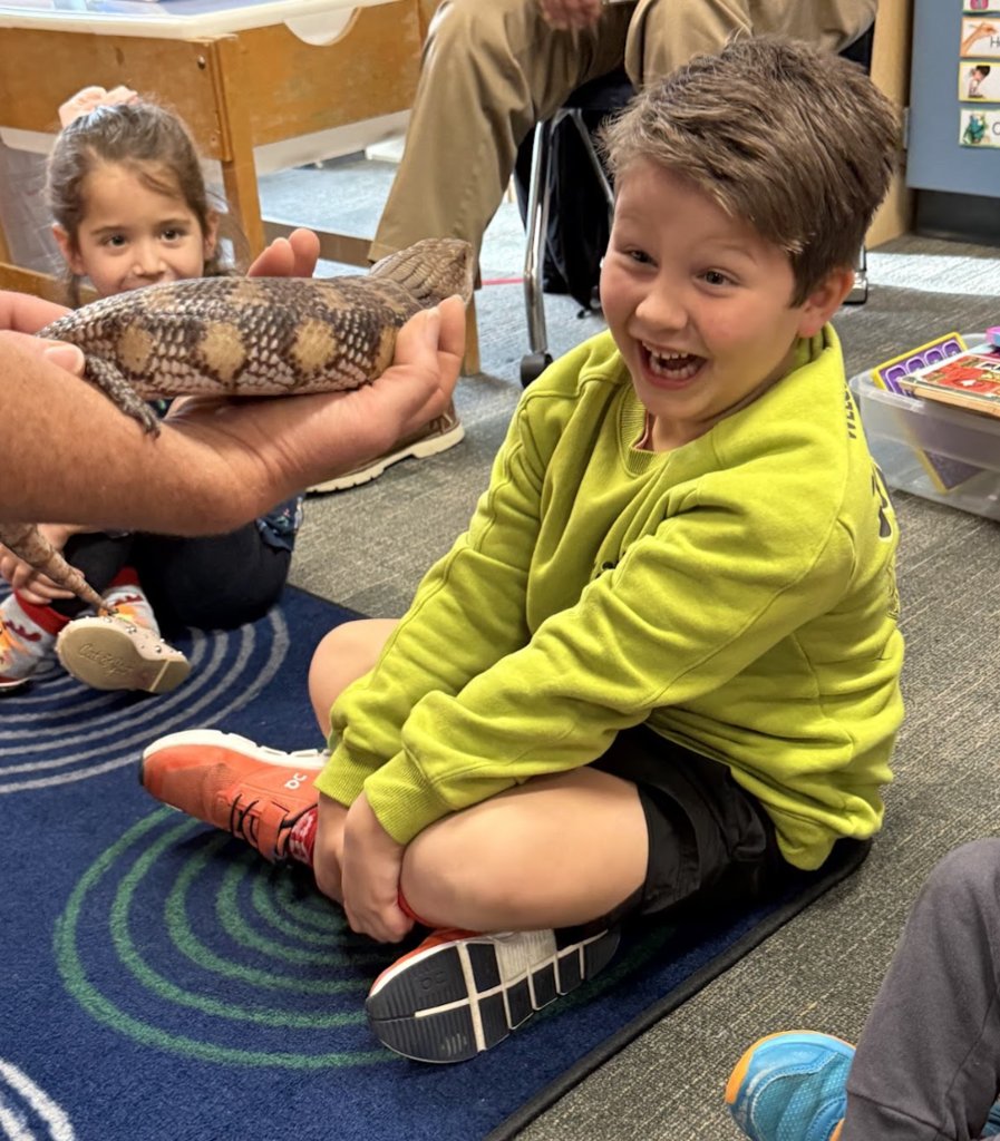 Shadow Forest Elem tweet media