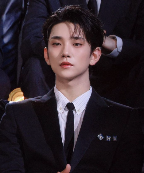 AboutMusicYT's tweet image. SEVENTEEN's Joshua will reportedly attend the Golden Globes.