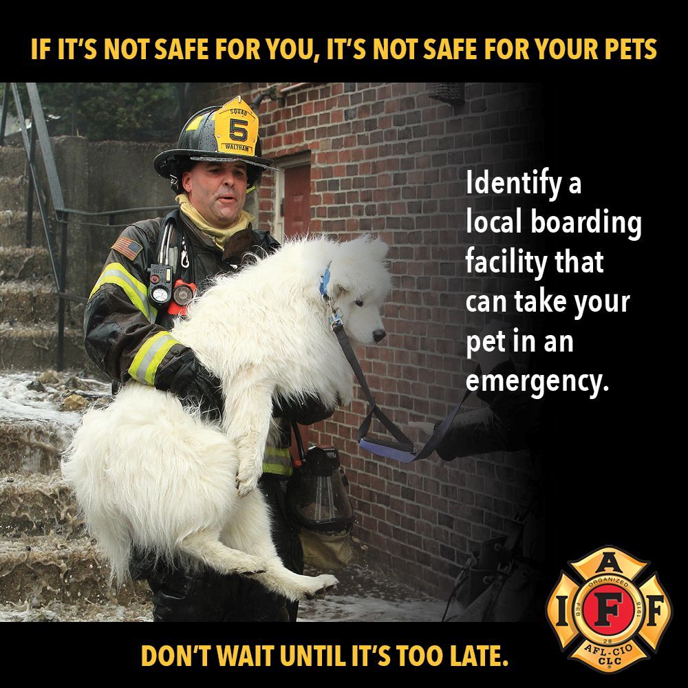 ArmorVolFireCo's tweet image. Do you have items set aside for your pets to grab in case of an emergency?