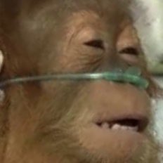 How it feels to wake up and look at charts this morning