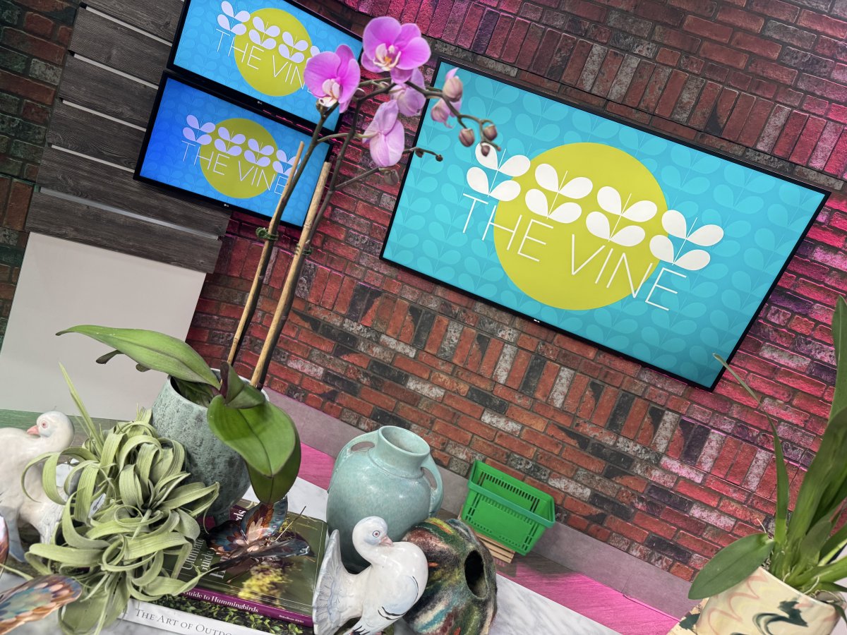 It’s designing with orchids with Chris H. Olsen on The Vine this morning on THV11.   Catch Chris on THV+…..