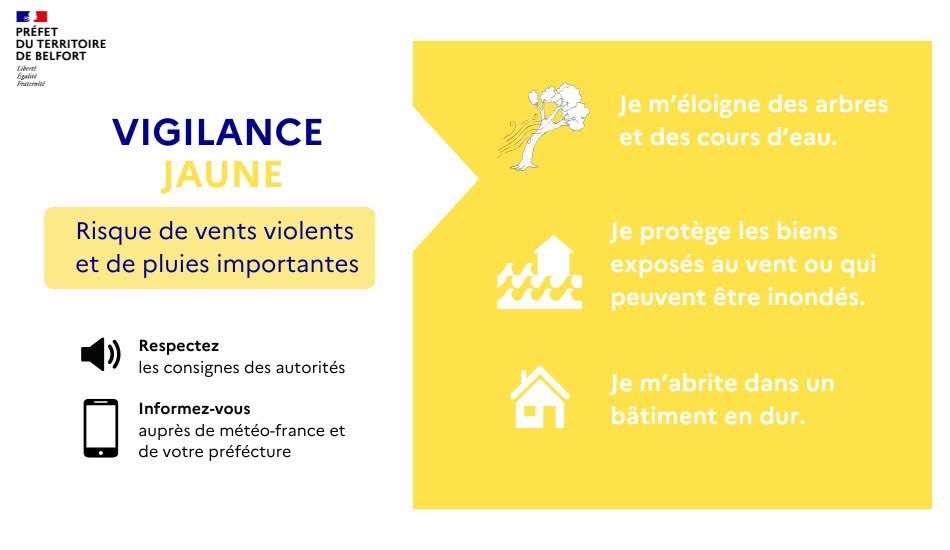 Image de Préfet du Territoire de Belfort - #VigilanceJaune risque de vents violents 🟡 Le Territoire de Belfort est placé en vigilance jaune po