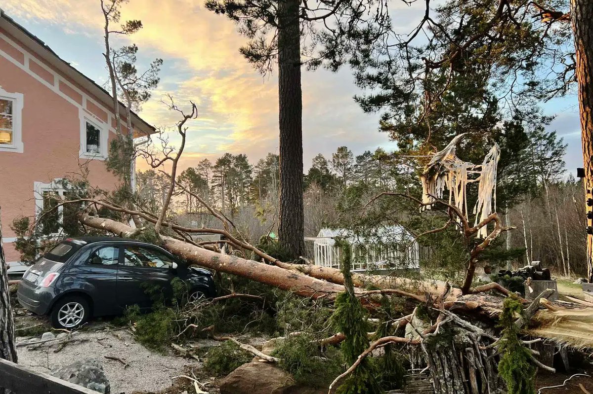 Storm smadrer millioner kubikmeter træ i Sverige bt.dk/udland/storm-s…