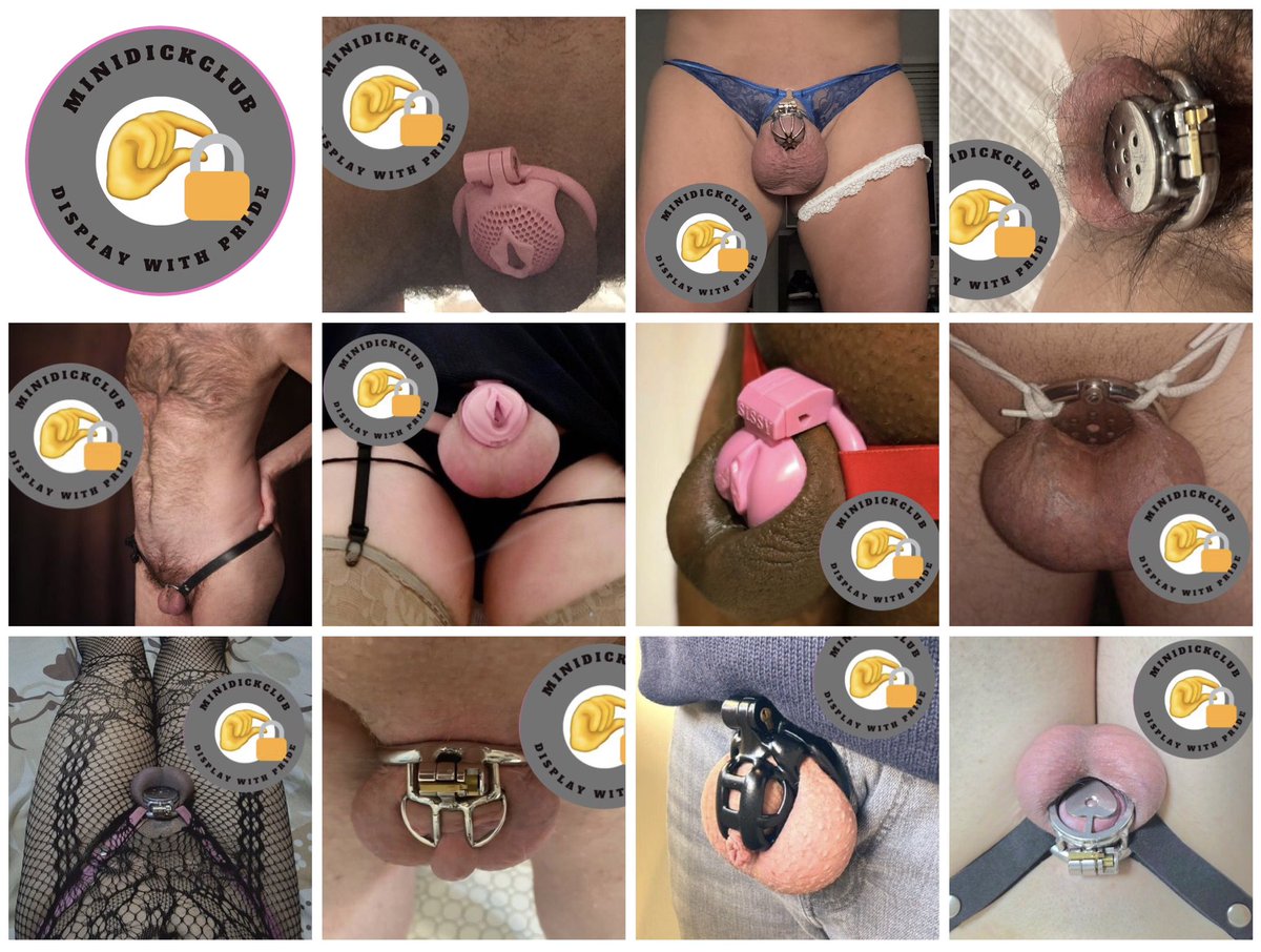 MiniDickClub™️ tweet media