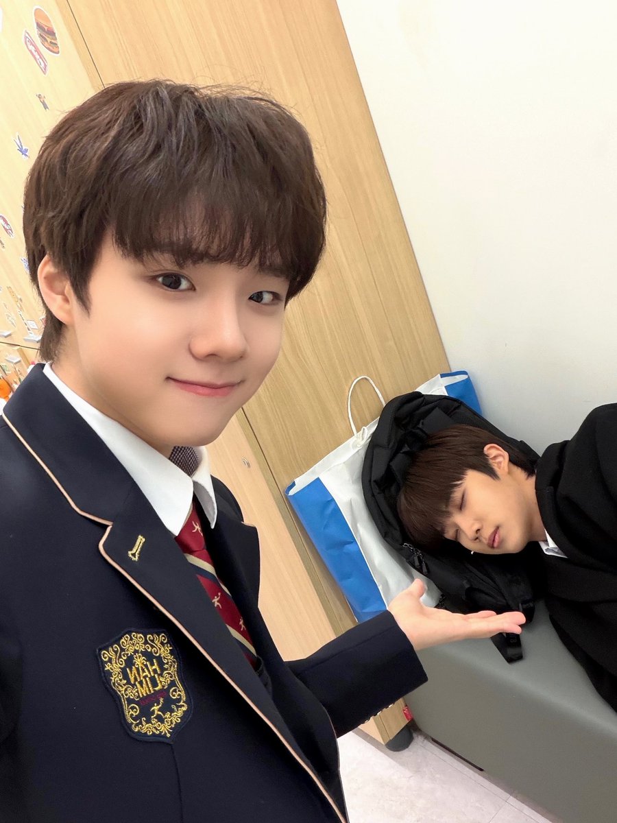 The Wind tweet media