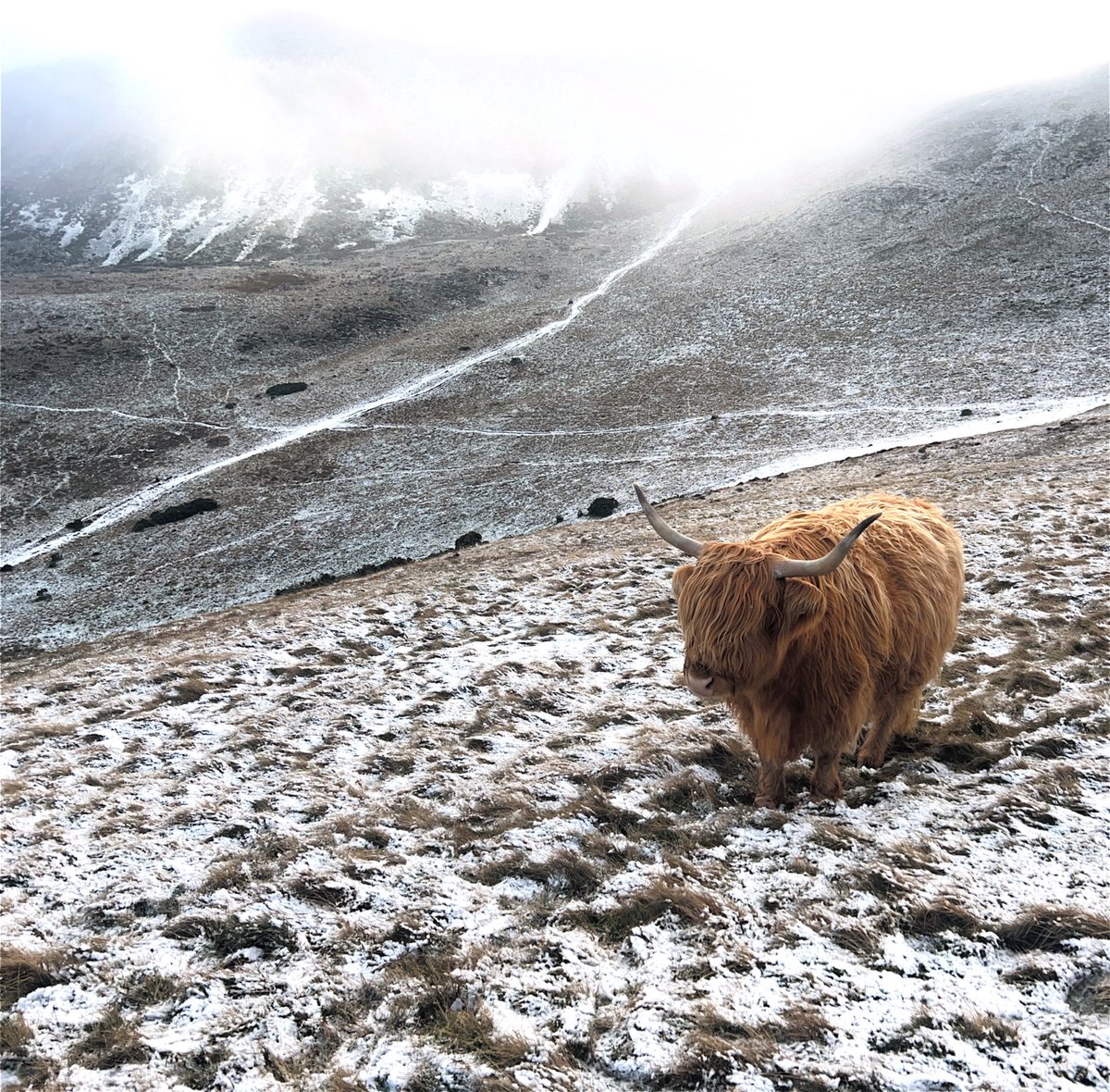 Cellularvice's tweet image. Hello from here