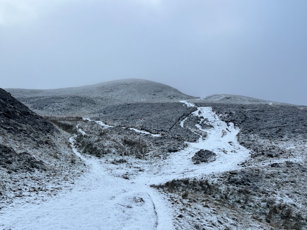 Cellularvice's tweet image. Hello from here