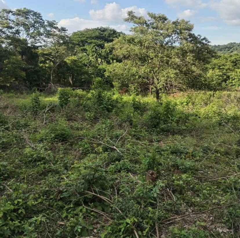 DesaparecidosSV's tweet image. CADÁVER EN DESCOMPOSICIÓN 

Ayer 7 de enero 2026, en calle a Cantón Conacaste, Ciudad Arce, La Libertad; se encontró el cuerpo sin vida de un hombre no identificado, el cual tenía varios días de fallecido.