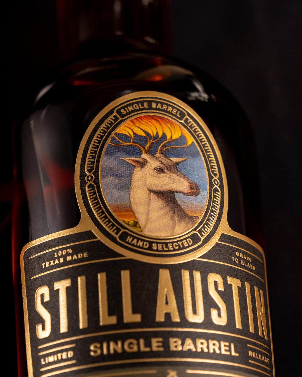 Still Austin tweet media