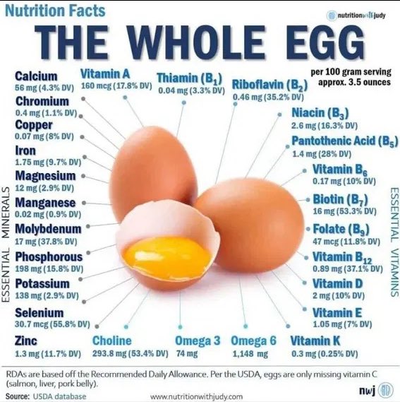 MarieIsabellaB's tweet image. Eggs are actually quite good for people