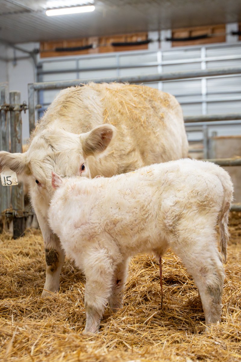 Jamie Heaslip CCA-ON tweet media