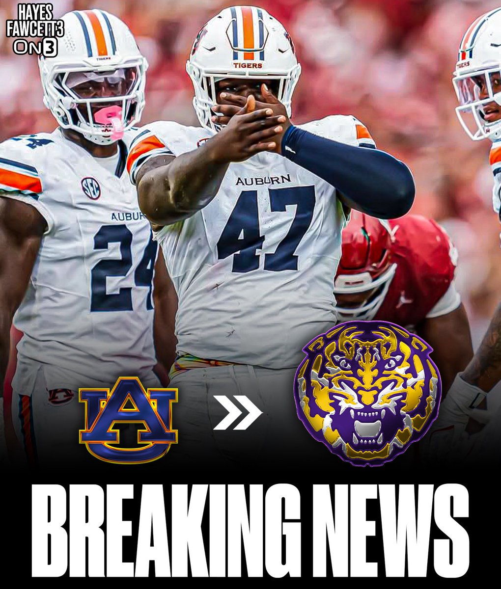 Hayes Fawcett tweet media