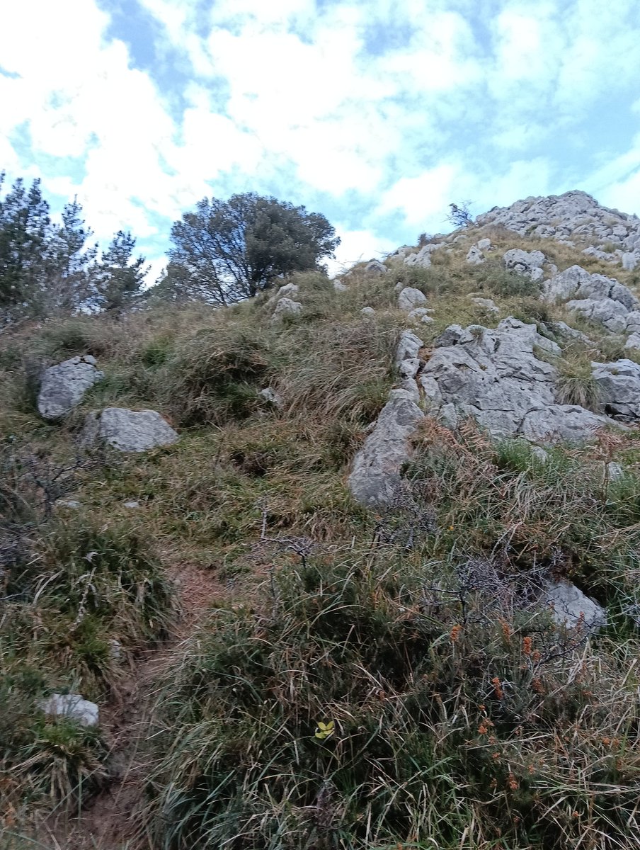 mendira_eus's tweet photo. 📢Nueva ruta en la web:
🗻 Bargondiko Atxa (533 m)
🏡 Desde Dima
🚶‍♀️4,46 km
🔼431 m
🗺️Más fotos y track: https://t.co/lxUlYrJK67
🔗Wikiloc: https://t.co/UynV5RZiUC https://t.co/VEI0UOU3Q9