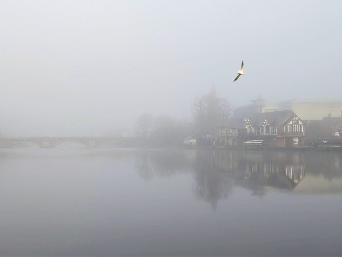 Brian Cunningham tweet media