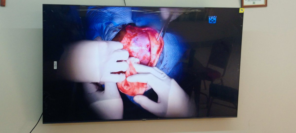 Holy Innocents Children's Hospital tweet media