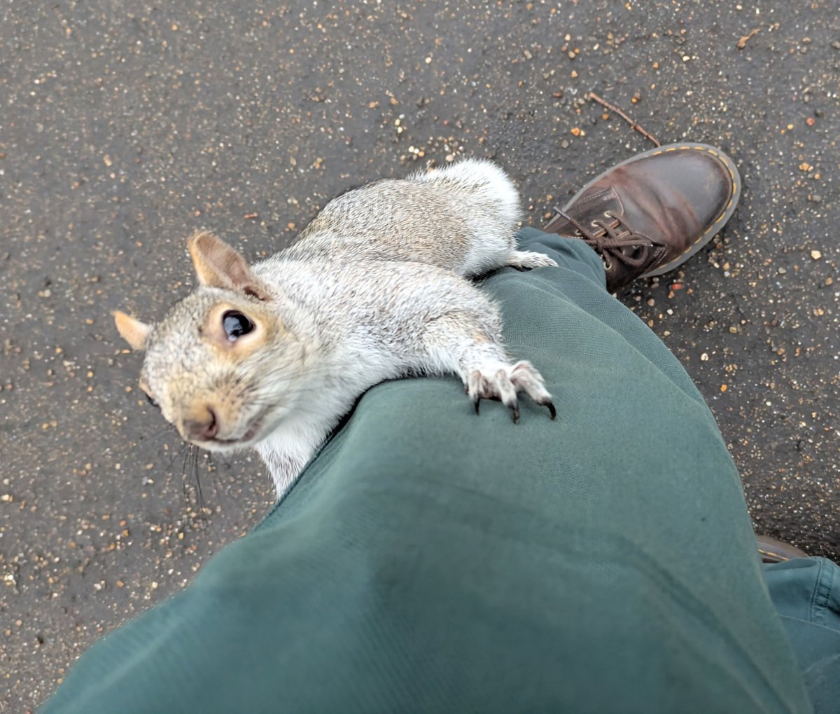 Martin Gathercole🐦X🐦 tweet media