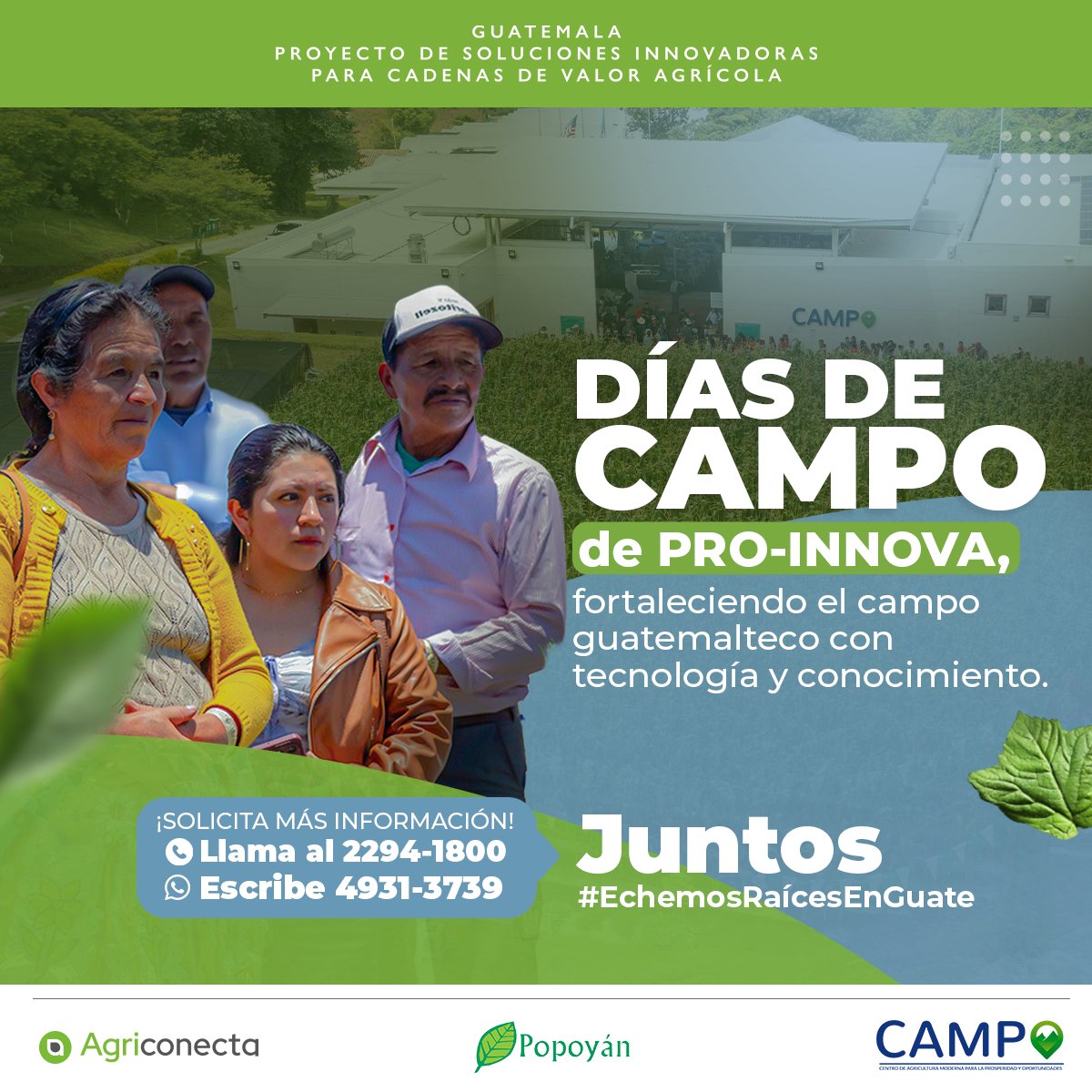 PROINNOVA impulsa el crecimiento agrícola con #DíasDeCampo. En estos espacios, los productores aprenden prácticas innovadoras y conocen tecnología en acción. Todo esto fortalece su productividad y genera estabilidad económica en Guatemala. <a href="/popoyan_gt/">Popoyán</a>  <a href="/usembassyguate/">US Embassy Guatemala</a>
