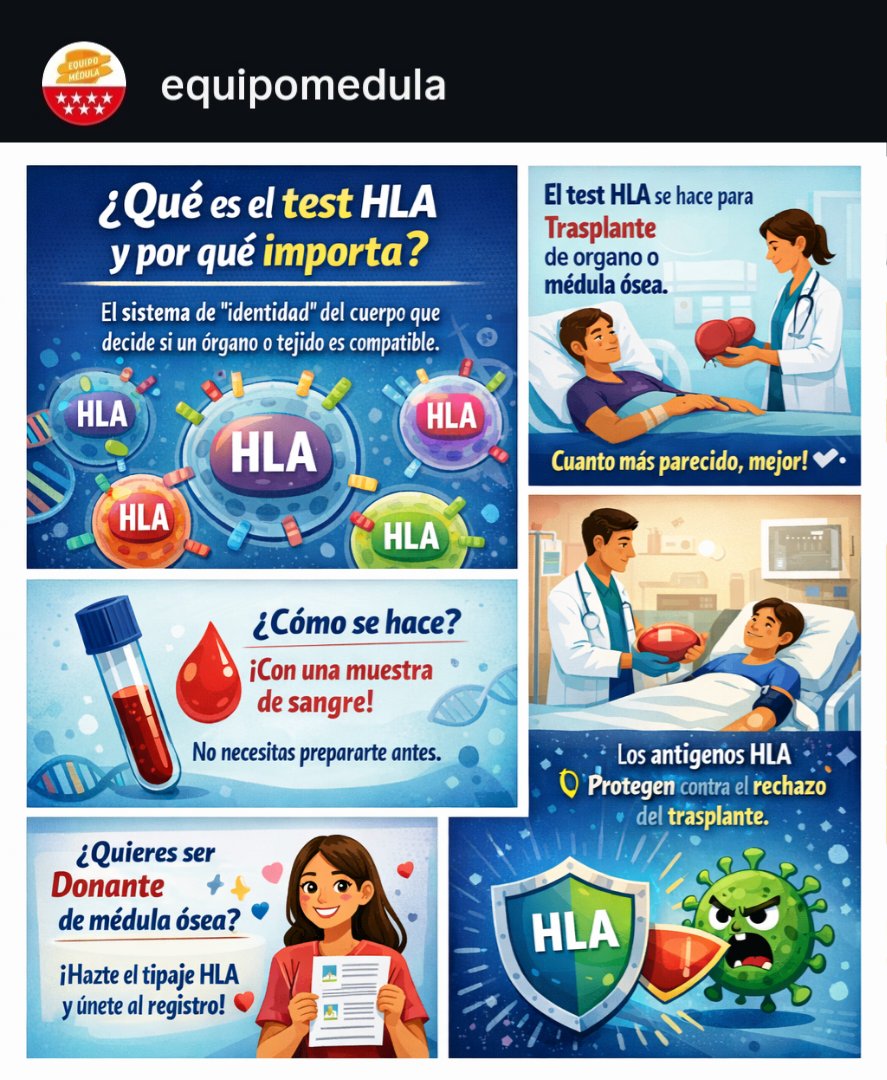 Equipo Médula tweet media