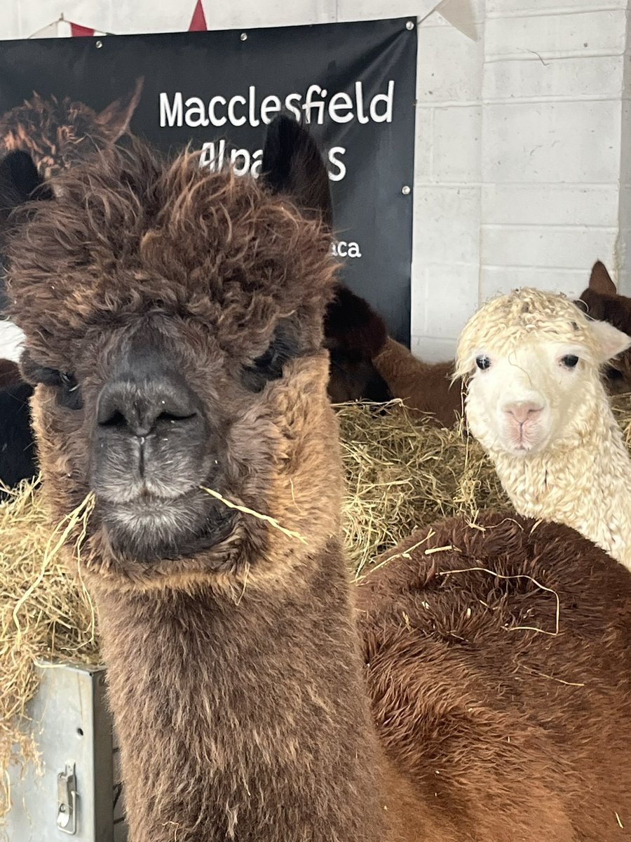 Mike Bushell tweet media