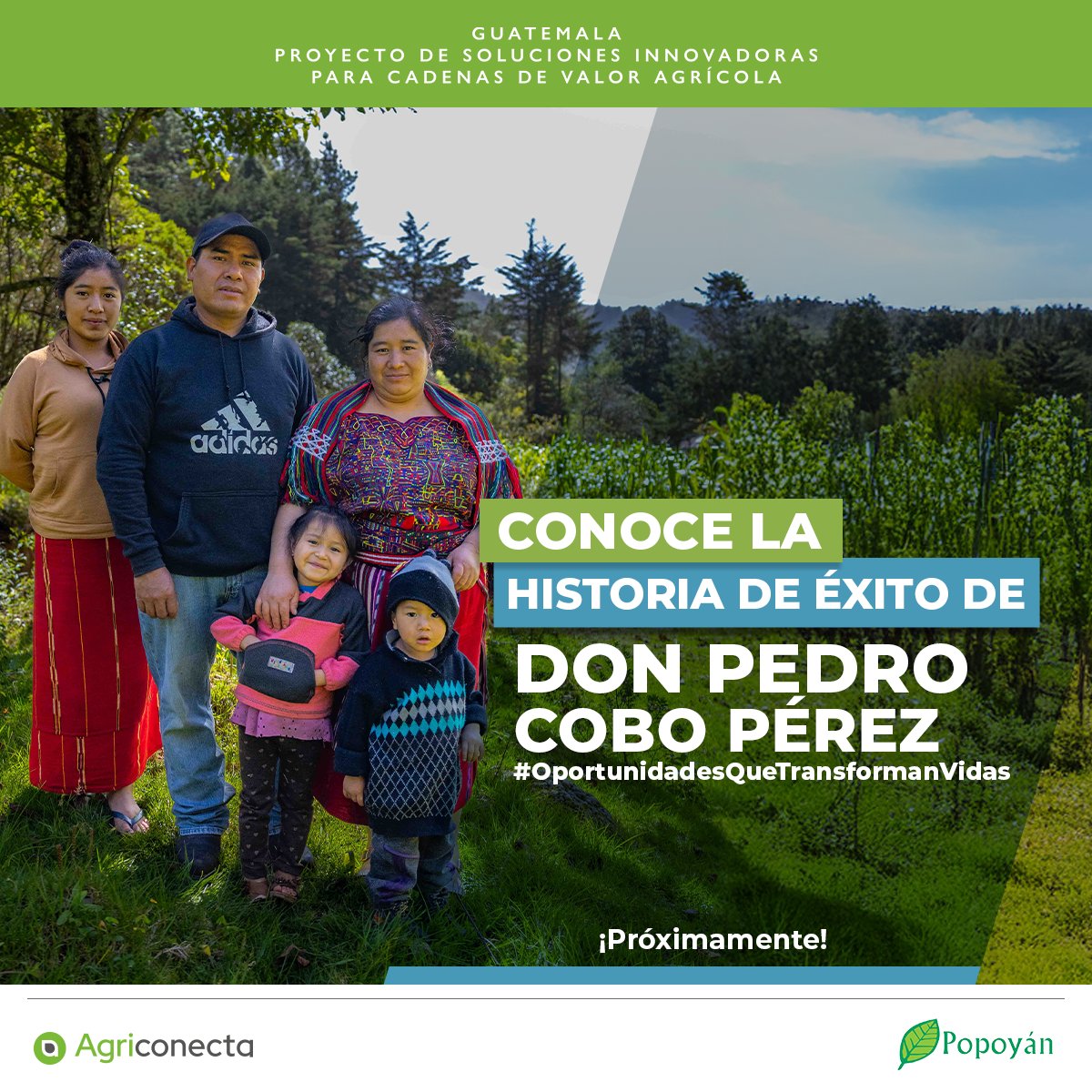 En PROINNOVA promovemos la adopción de tecnologías sostenibles, como el Riego por Goteo. Este sistema optimiza el uso del agua y mejora la productividad agrícola. De esta manera fortalecemos el desarrollo rural en Guatemala. @Popoyan @USEmbassyGuatemala