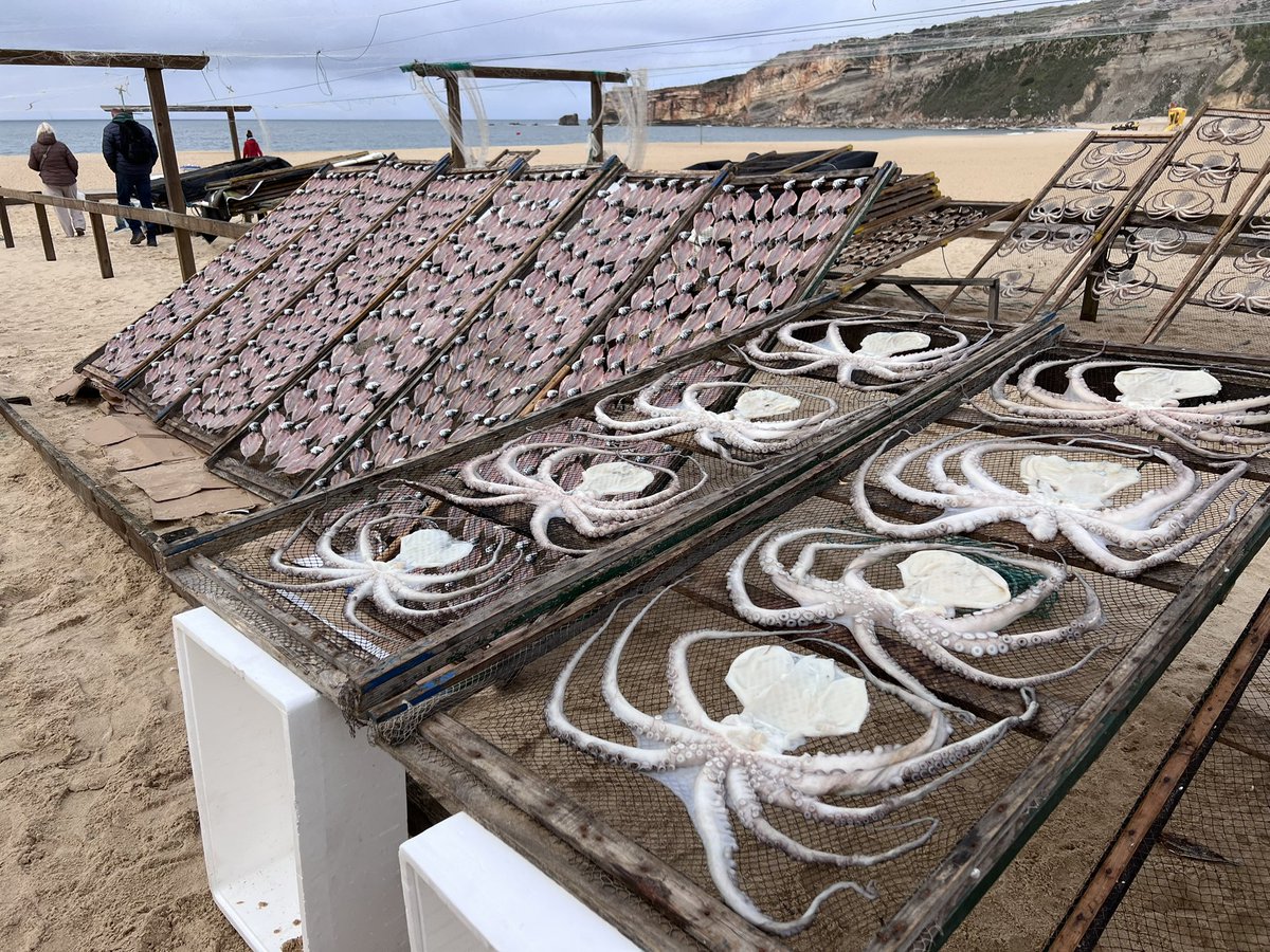 tabitamin | 世界ノマド旅 🍋 tweet media