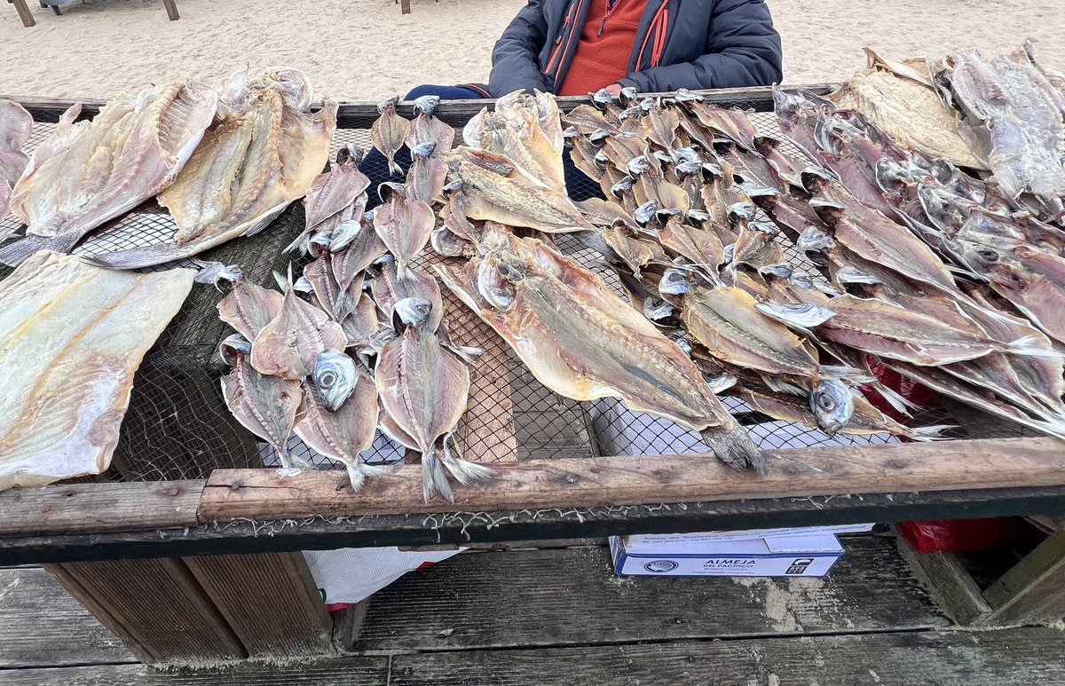 tabitamin | 世界ノマド旅 🍋 tweet media