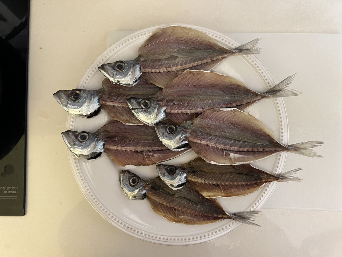 tabitamin | 世界ノマド旅 🍋 tweet media