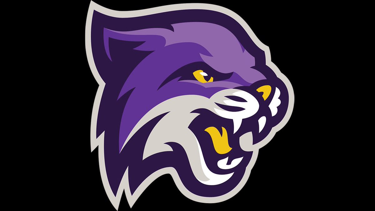 Demetrius Silva tweet media