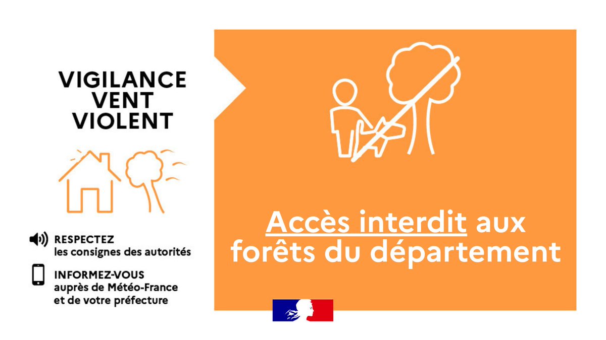 Image de Préfet des Yvelines - 🟠 💨 Tempête #Goretti dans les Yvelines | Accès interdit aux forêts du département
 
A compter de c