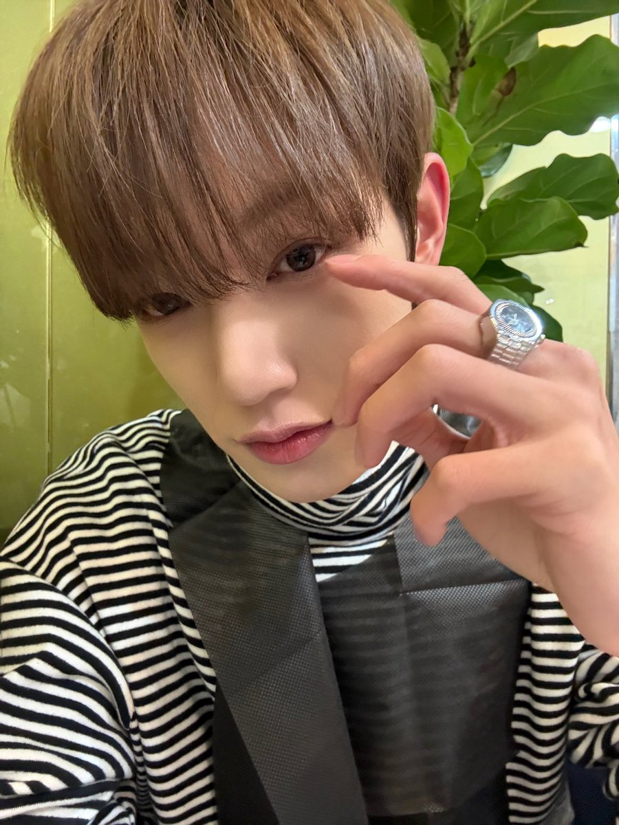 The Wind tweet media