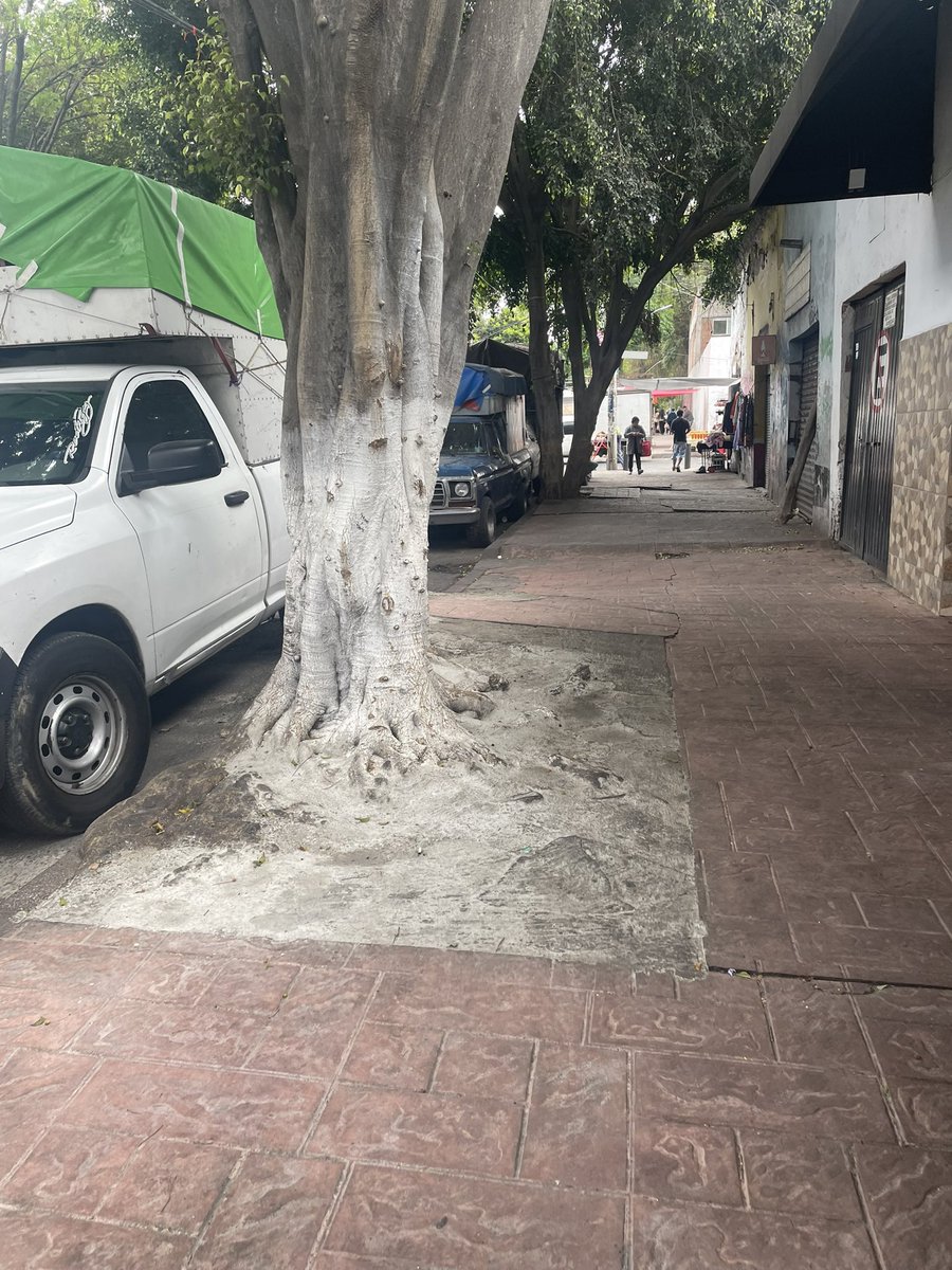 モㄥ工乙丹乃モ匕卄☕🏃🚴♑ tweet media