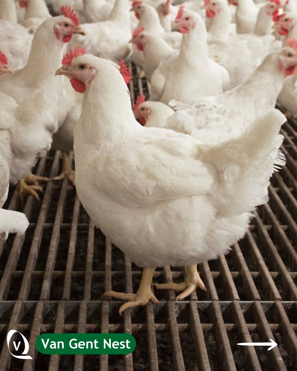 Vencomatic Group tweet media