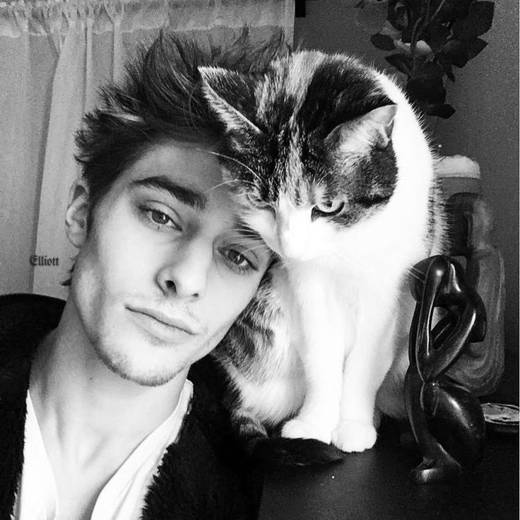 witch0089's tweet image. 