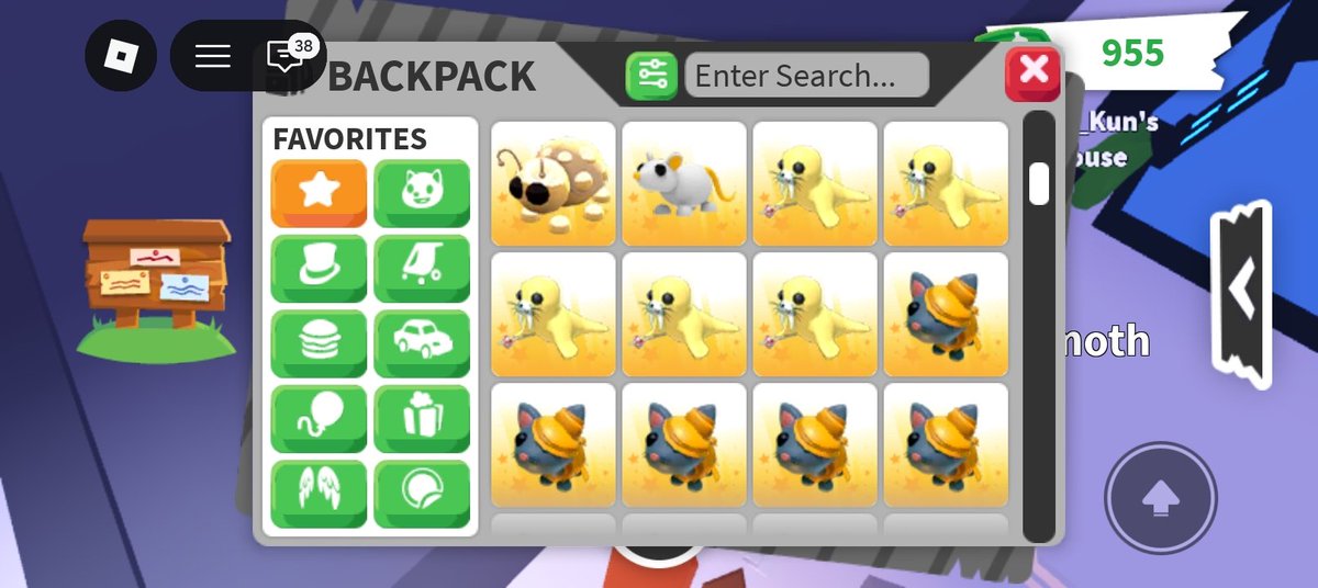 kyqoq's tweet photo. Fs/ft
Looking for exotics/old pets/pots
Sell for PayPal too
More in comments https://t.co/KPobWFeQLj