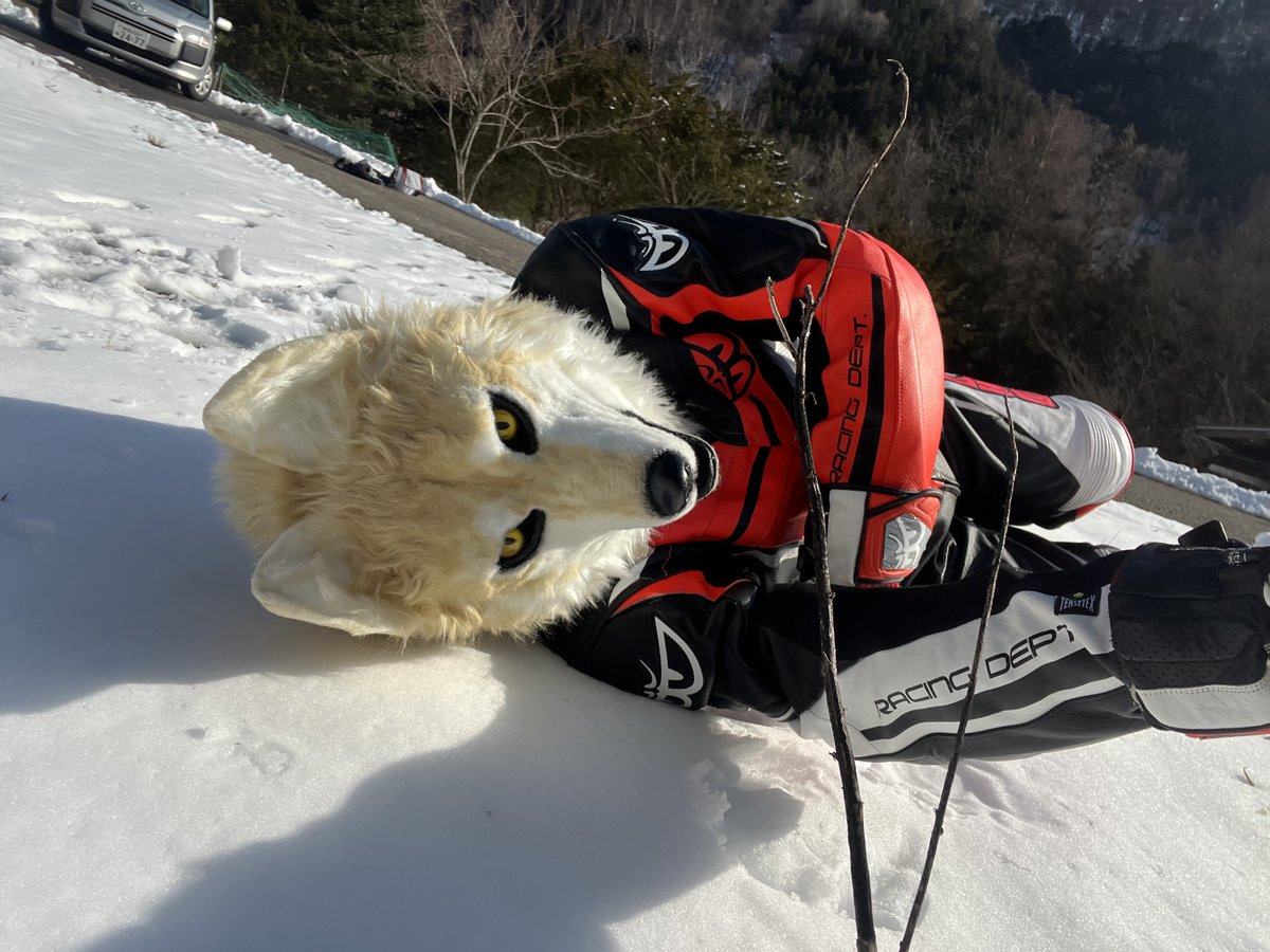 wolfmuzzle11's tweet image. 自宅のトイレで籠っていたら
ドアノブから木ネジが自然に抜け落ちて
直後ノブもボトッって転がった

そおっとノブを元の位置にもどしてドアを開けた
深夜のトイレの怪
クソ寒トイレで缶詰になりそうでしたわ😆こわっ