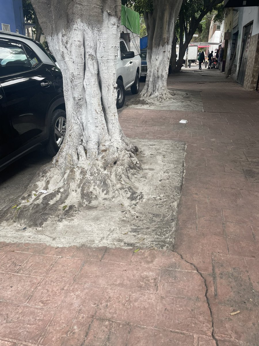 モㄥ工乙丹乃モ匕卄☕🏃🚴♑ tweet media