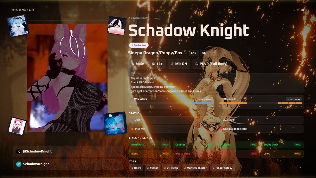 Schadow 影 tweet media