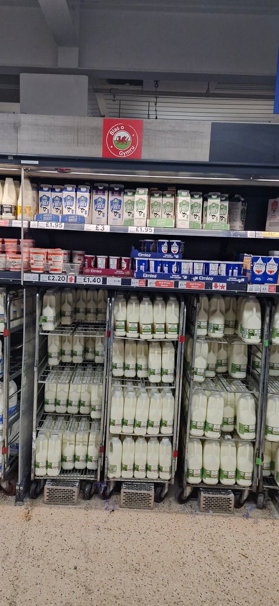 🏴🇪🇺💜⌘-☾€☈☿ⓢ-⌘🏴🇪🇺💜 tweet media