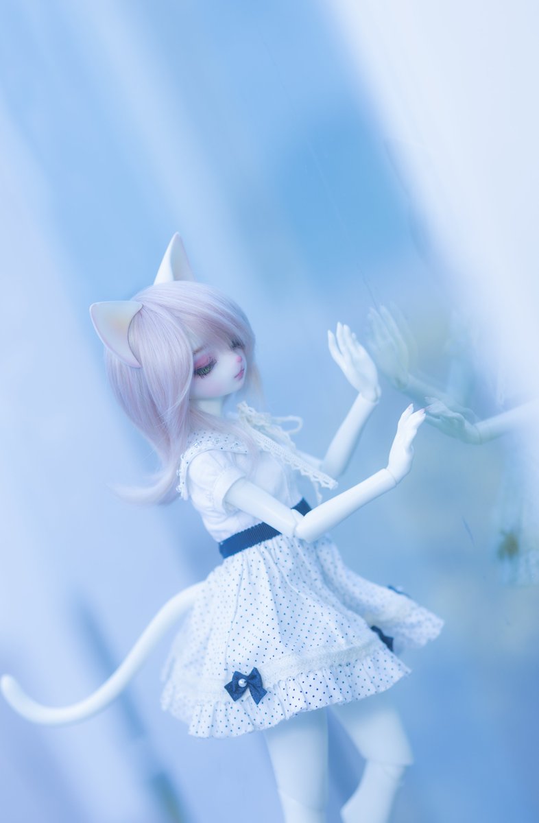 Lin Chih Hsien（阿憲） (@lingisan1234561) on Twitter photo 