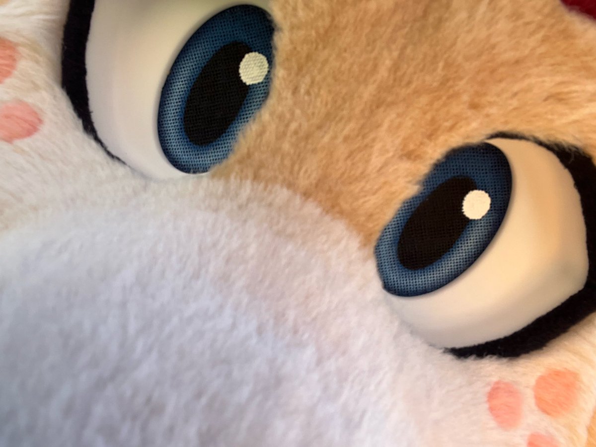 Back in Buenos Aires tomorrow! Going back to editing in two days 🥀🥀🥀