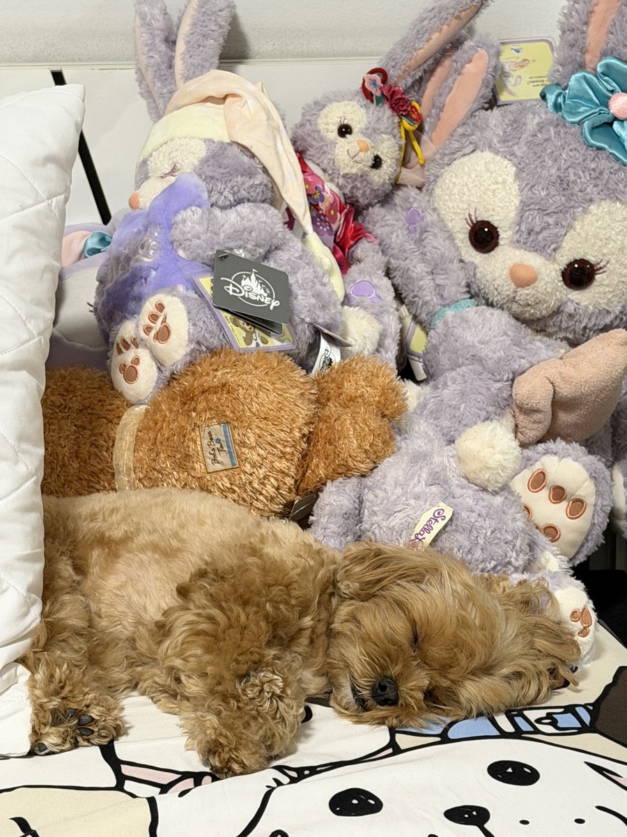 นอน ตื่น กิน สบายย~