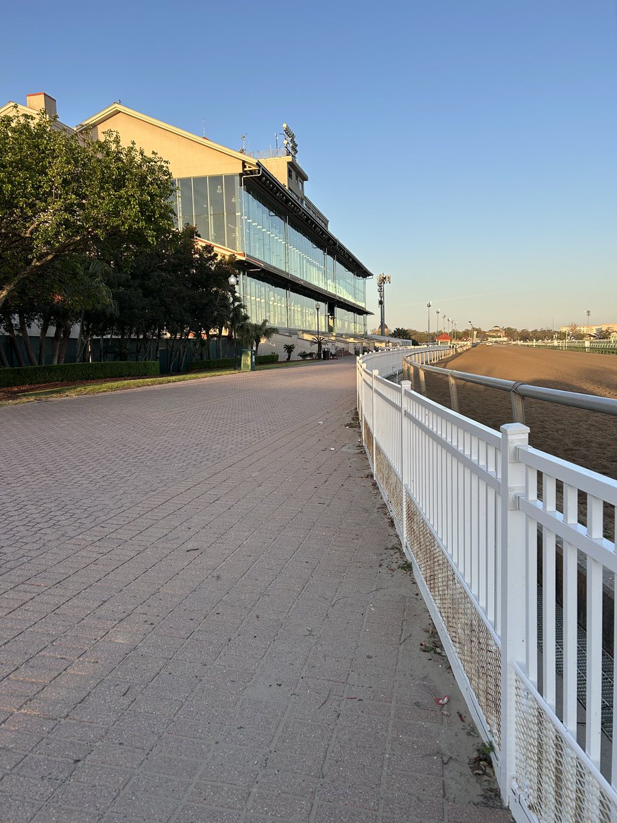 Classic Performer, owned by <a href="/boydbyers787/">Boyd Byers</a>, seeks her fourth career victory. <a href="/granttforster/">Grant T. Forster</a>  entered the 6-year-old mare by Mendelssohn in the 6th race <a href="/fairgroundsnola/">Fair Grounds Race Course & Slots</a> on Friday, 1-9. <a href="/mitchellmurrill/">Mitchell Murrill</a> is in the saddle, breaking from post 4.