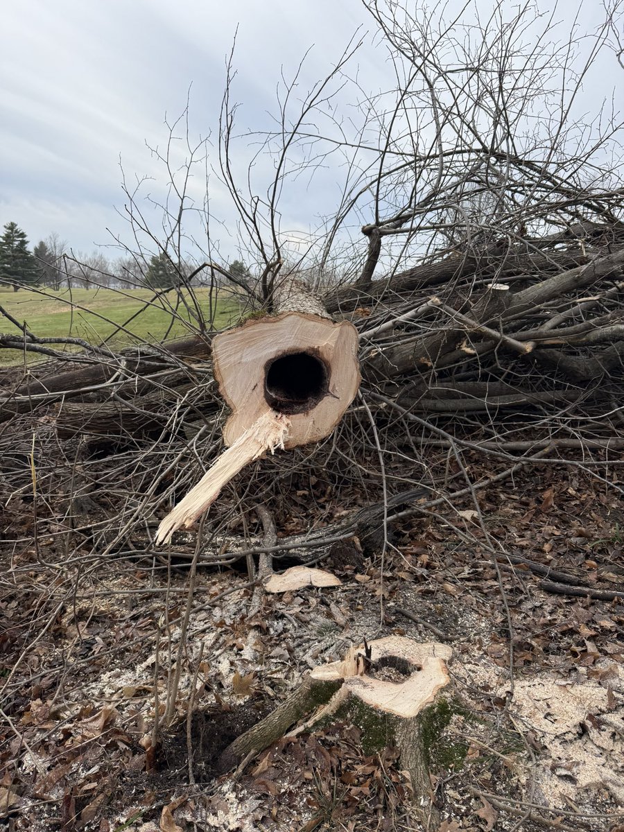 Michael Vessely tweet media