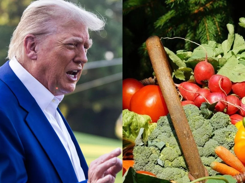 cuprwarszawa's tweet image. USA: koniec z makaronem jako „podstawą diety”! Nowa piramida: białko, tłuszcze, warzywa – u podstawy. Zboża tylko pełnoziarniste, 2–4 porcje. Białko 1,2–1,6 g/kg. „Przez dekady wprowadzali nas w błąd” – Biały Dom. Czas na prawdziwe jedzenie! 

#Dieta #Zdrowie