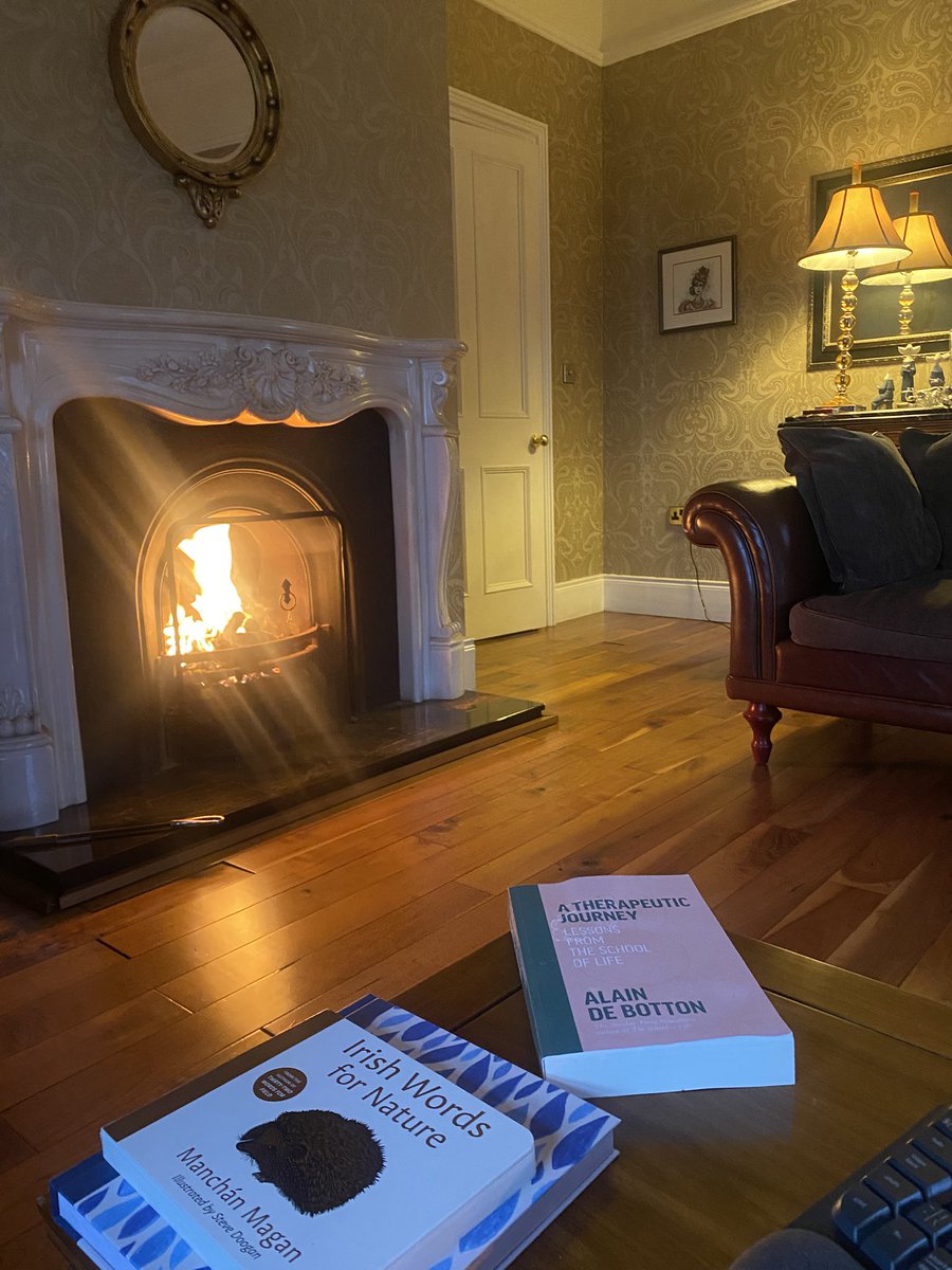 elaine de róiste designs tweet media