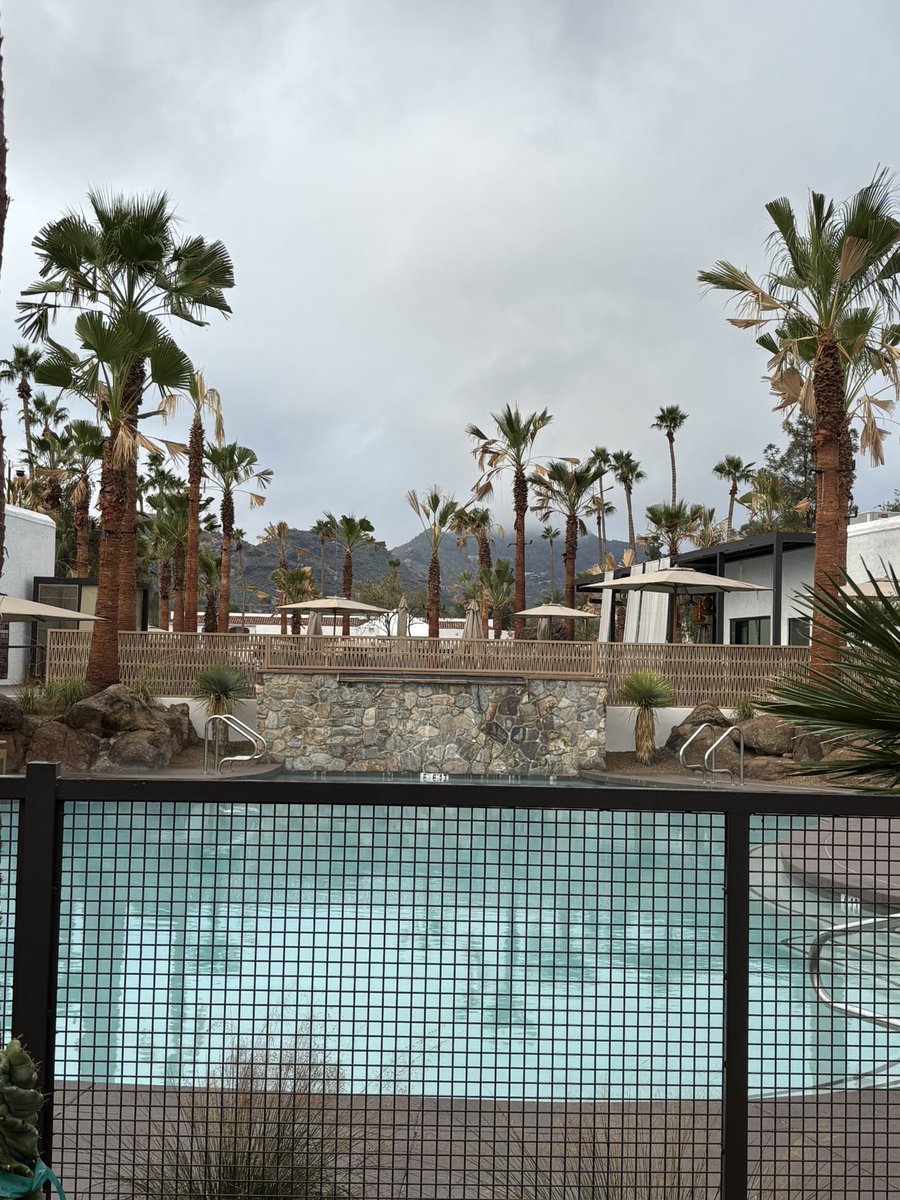 MEngelbert tweet media