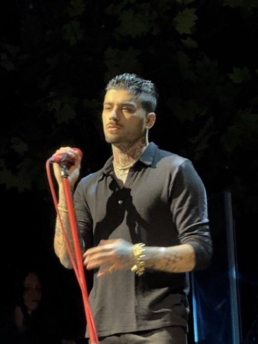 “My girl gotta turn down Zayn Malik for me” mind you THIS is Zayn Malik