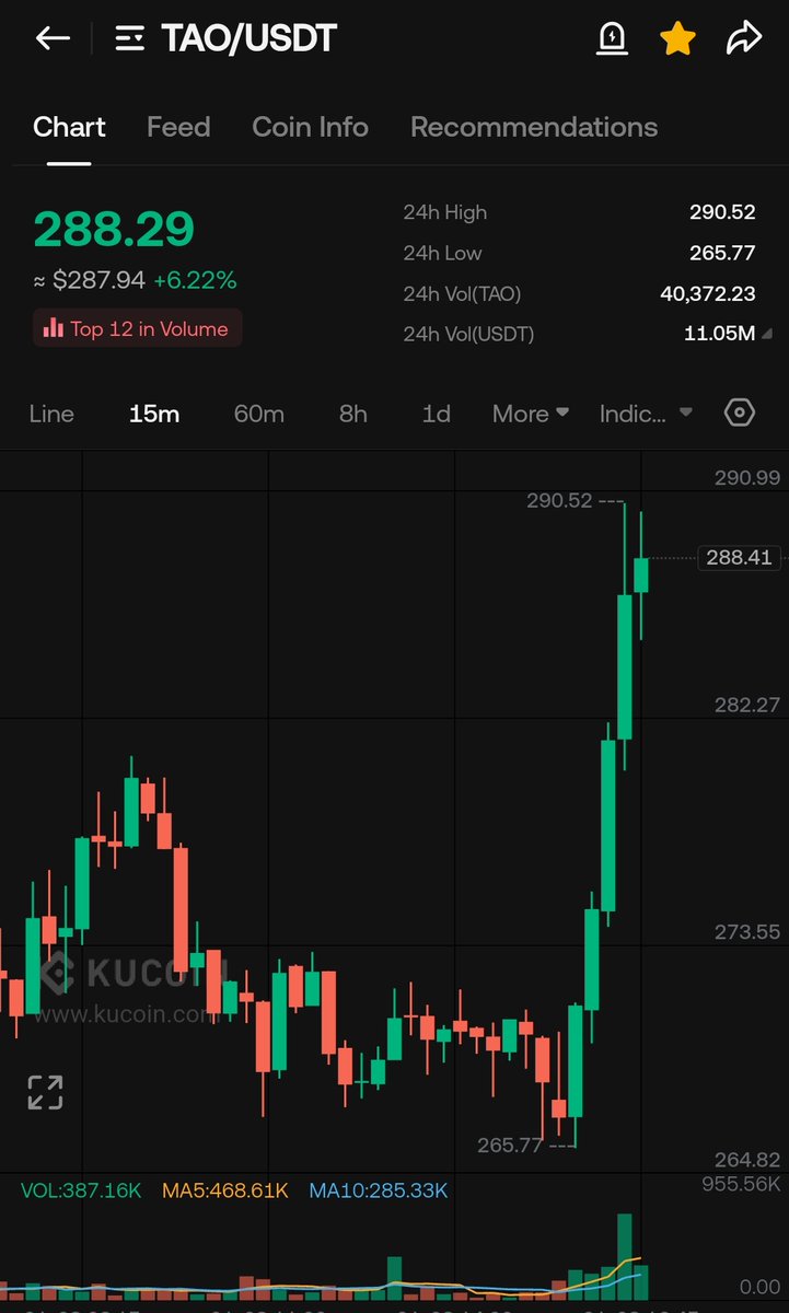 WIZZ🥷 ( beware scammers ) tweet media